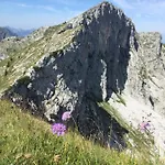Apartman Bergnest *