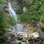Bergnest