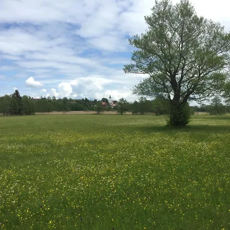 Lejlighed Bergnest Bayersoien