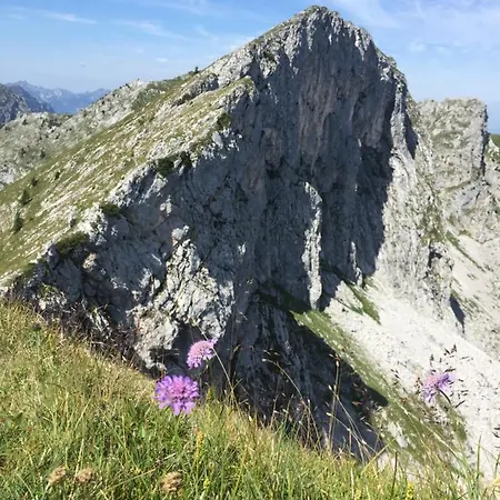 Apartmán Bergnest *