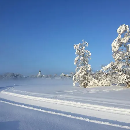 Bergnest