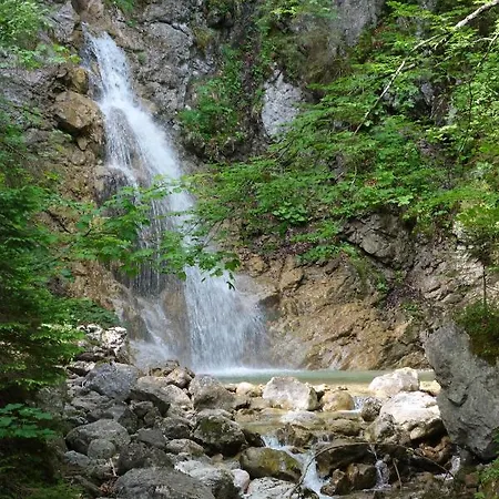 Bergnest