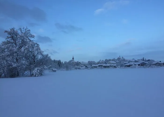 Bergnest *