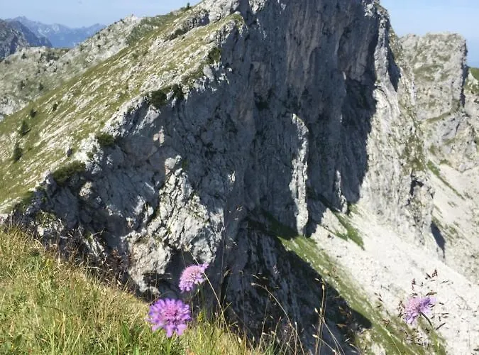 Lejlighed Bergnest *