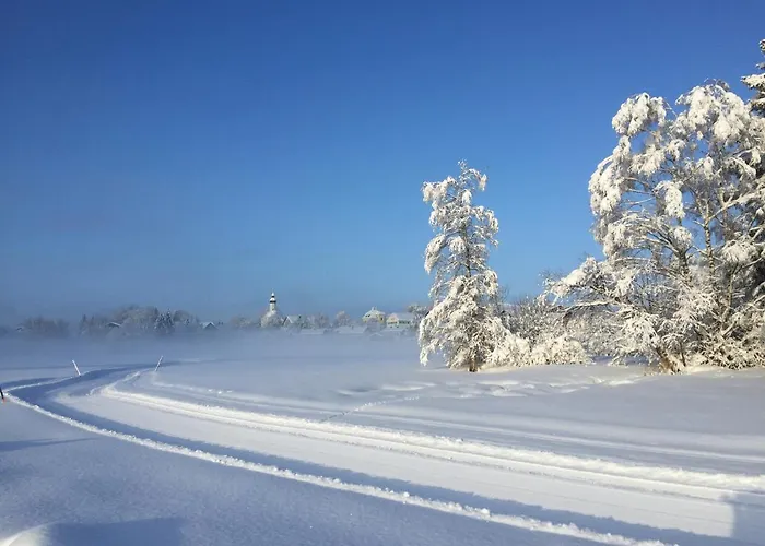 Bergnest