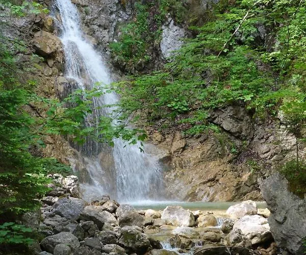 Bergnest