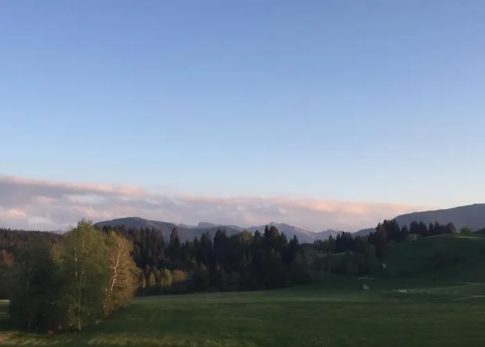 Bergnest Lejlighed *