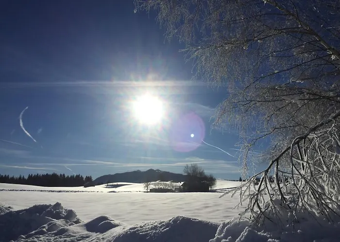 Bergnest Lejlighed